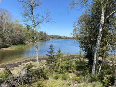 /international/us/20-15-main-road-islesboro-me-110120514958/