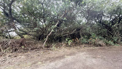 /international/us/kealakekua-hi-110108126831/