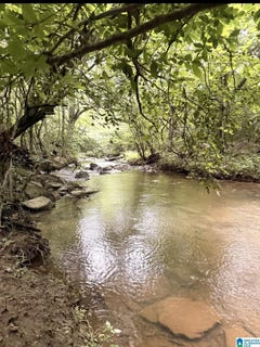 /international/us/county-road-40-lot-0-fruithurst-al-110109572981/