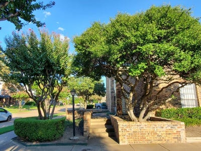 /international/us/3100-devonshire-drive-plano-tx-110109596670/