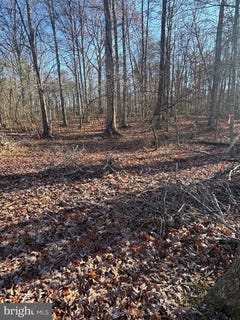 /international/us/00-cox-mill-road-gordonsville-va-110097192156/?lang=en