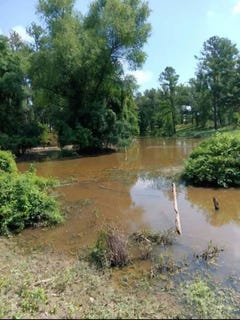 /international/us/909-whooping-crane-road-shelbyville-tx-110110326840/