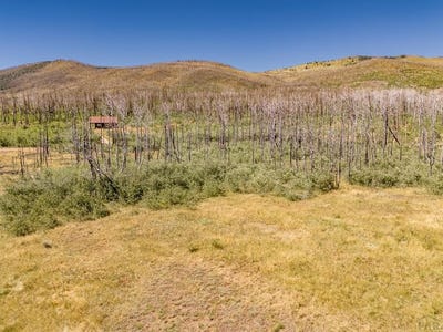 /international/us/sturm-ln-lot-1852-fort-garland-co-110100939581/?lang=zh-cn