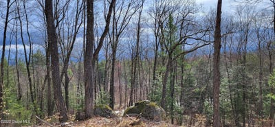 /international/us/l3-clendon-brook-road-queensbury-ny-110094403317/?lang=zh-cn
