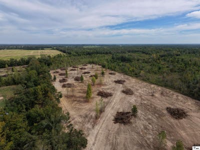 /international/us/bee-bayou-road-rayville-la-110120027150/