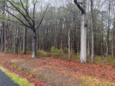 /international/us/pitts-creek-rd-lot-33-new-church-va-110098547175/