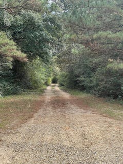 /international/us/wildwood-drive-lumberton-ms-110103773960/