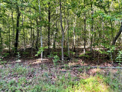 /international/us/lot-4-keylon-hollow-road-ten-mile-tn-110100813935/?lang=en