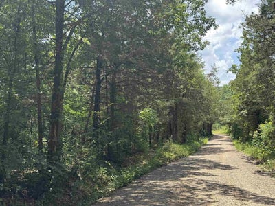 /international/us/000-uncle-bud-road-center-ridge-ar-110100471049/
