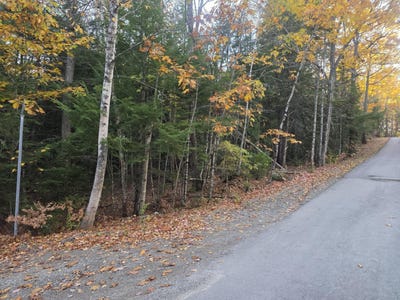 /international/us/w-cider-mill-lane-lot-10-16e-swanville-me-110120722242/