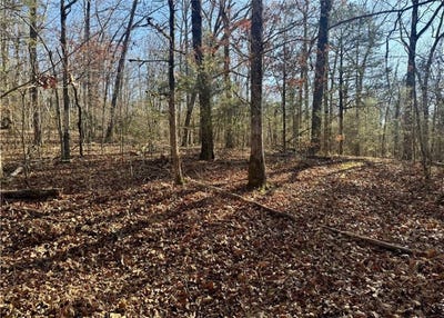 /international/us/zachary-trail-rudy-ar-110106845397/