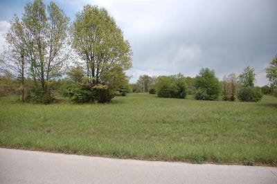 /international/us/freedom-goodhard-drive-west-plains-mo-110107983598/