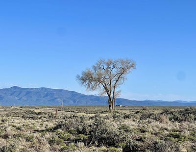 /international/us/lone-tree-lot-1-greater-world-taos-nm-110084438354/