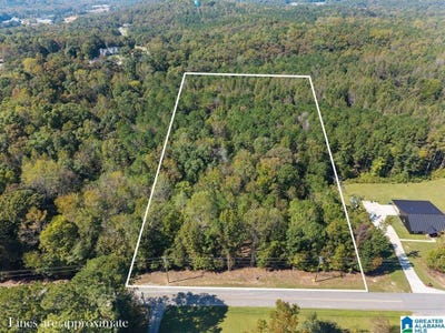 /international/us/springville-boulevard-lot-0-oneonta-al-110120610690/