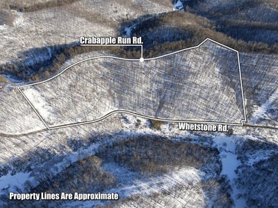 /international/us/0-whetstone-rd-mannington-wv-110105703532/