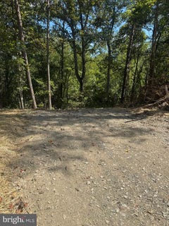 /international/us/vacant-land-cabin-branch-road-marshall-va-110104543197/