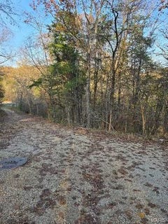 /international/us/1-fox-lane-branson-mo-110095803843/