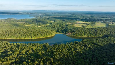 /international/us/1-157-ac-county-road-505-leesburg-al-110100815247/?lang=zh-tw