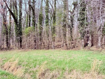/international/us/ponderosa-road-stoneville-nc-110120531317/