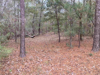 /international/us/persimmon-ford-rd-johnsonville-sc-110088535108/