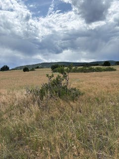 /international/us/sw-lago-vistas-blvd-lot-8-colorado-city-co-110101090935/?lang=zh-cn