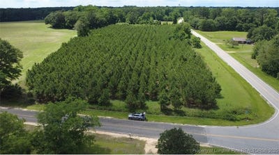 /international/us/nc-hwy-904-fairmont-nc-110101112626/