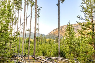 /international/us/harris-rd-lot-1-tbd-anaconda-mt-110099964080/