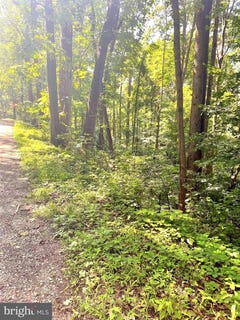 /international/us/walnut-tree-ct-road-front-royal-va-110100379295/