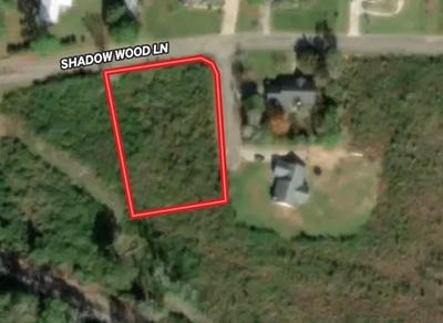 /international/us/shadow-woods-lane-lot-18-blk-d-ozark-al-110108203890/
