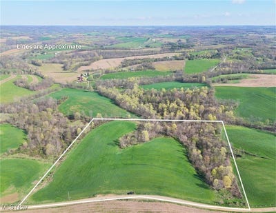 /international/us/township-rd-176-fresno-oh-110099012773/