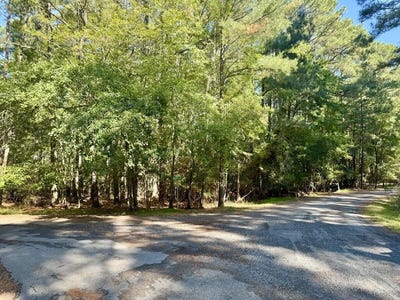 /international/us/skipper-ct-lot-551-greenbackville-va-110120560684/