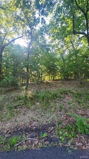 /international/us/lot-14-e-forest-lane-owensville-mo-110108881279/