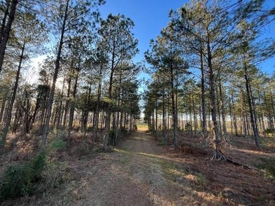 /international/us/456-irving-road-saluda-sc-110101585905/
