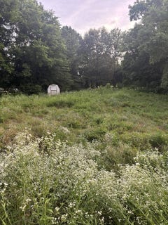 /international/us/130-wilson-lane-calhoun-ky-110109086866/