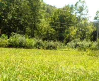 /international/us/db-549-664-pg-352-102-ivy-creek-lot-13-14-ivel-ky-110108988352/