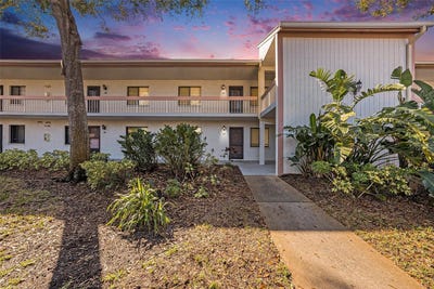 /international/us/141-lakeview-way-oldsmar-fl-110106231810/