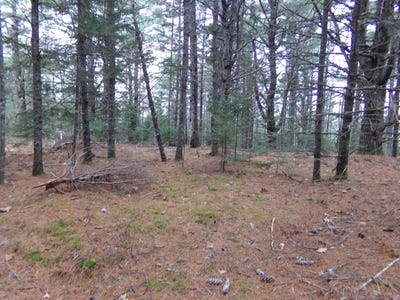 /international/us/rogers-point-road-lot-3e-steuben-me-110103279424/