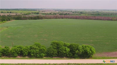 /international/us/00001a-county-road-110-buckholts-tx-110110375606/