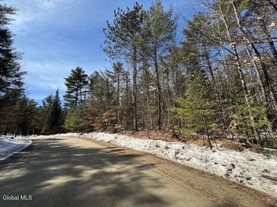 /international/us/204-mountain-path-north-creek-ny-110106766606/