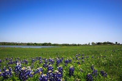/international/us/74-acres-caney-creek-road-chappell-hill-tx-110097492153/