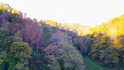 /international/us/305-moores-branch-road-booneville-ky-110095409478/?lang=en
