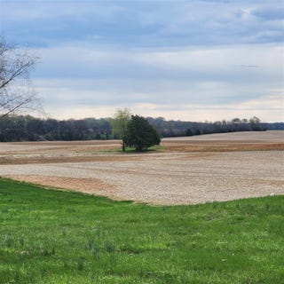 /international/us/0-neosheo-prices-mill-road-franklin-ky-110098296863/?lang=zh-tw