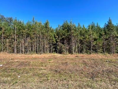 /international/us/6-106-ac-lot-10-willie-varnum-rd-cottonwood-al-110095109873/?lang=fr