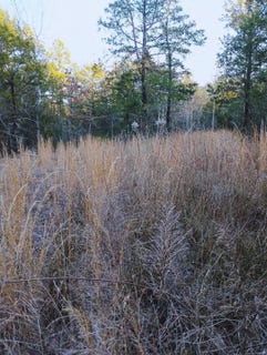 /international/us/tbd-tbd-panola-mountain-ok-110107048282/