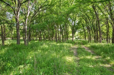 /international/us/345-county-road-2545-meridian-tx-110098951852/?lang=zh-tw