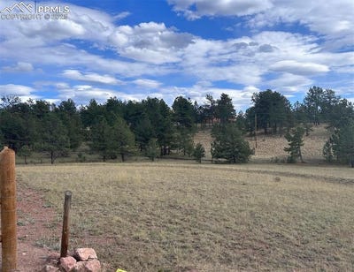 /international/us/382-arrowhead-drive-florissant-co-110102829639/