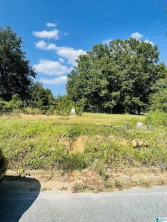 /international/us/magnolia-drive-lot-16-sylacauga-al-110109087440/