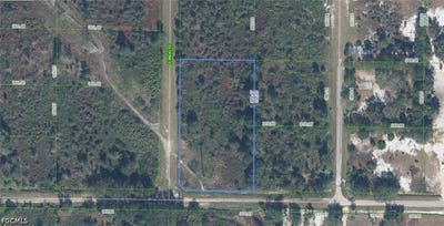 /international/us/1463-s-snead-road-avon-park-fl-110108815156/