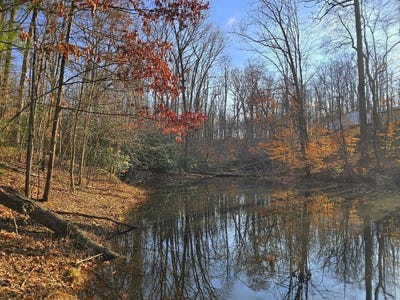 /international/us/collinwood-drive-oak-hill-wv-110105066371/