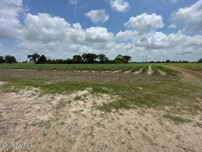 /international/us/11271-rodrigue-road-lot-a-1-b-c-abbeville-la-110105054511/
